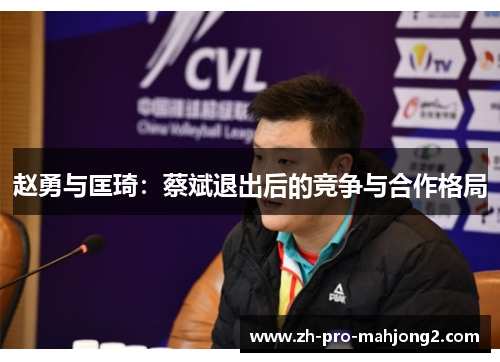 赵勇与匡琦:蔡斌退出后的竞争与合作格局 赵勇与匡琦:蔡斌退出后的竞争与合作格局