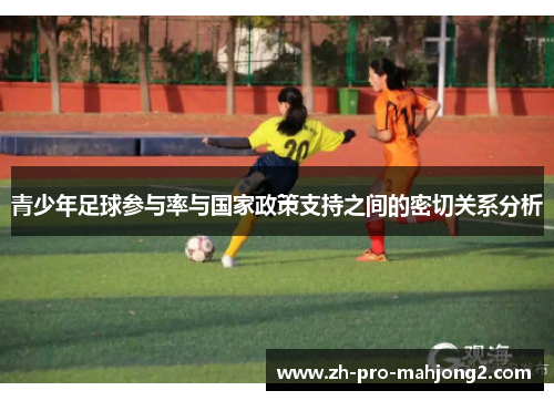 青少年足球参与率与国家政策支持之间的密切关系分析 青少年足球参与率与国家政策支持之间的密切关系分析